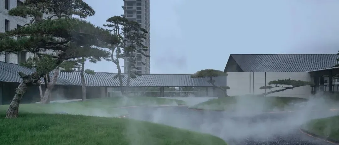 1735204992132417.jpg 1735204982176.jpg