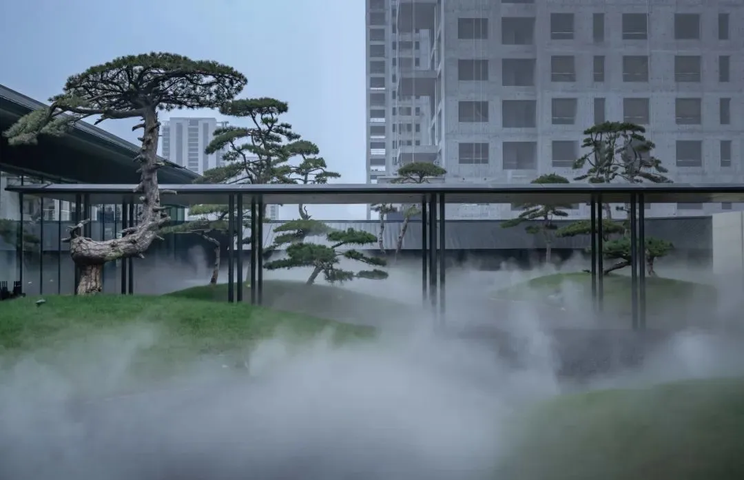 1735204996208186.jpg 1735204984627.jpg