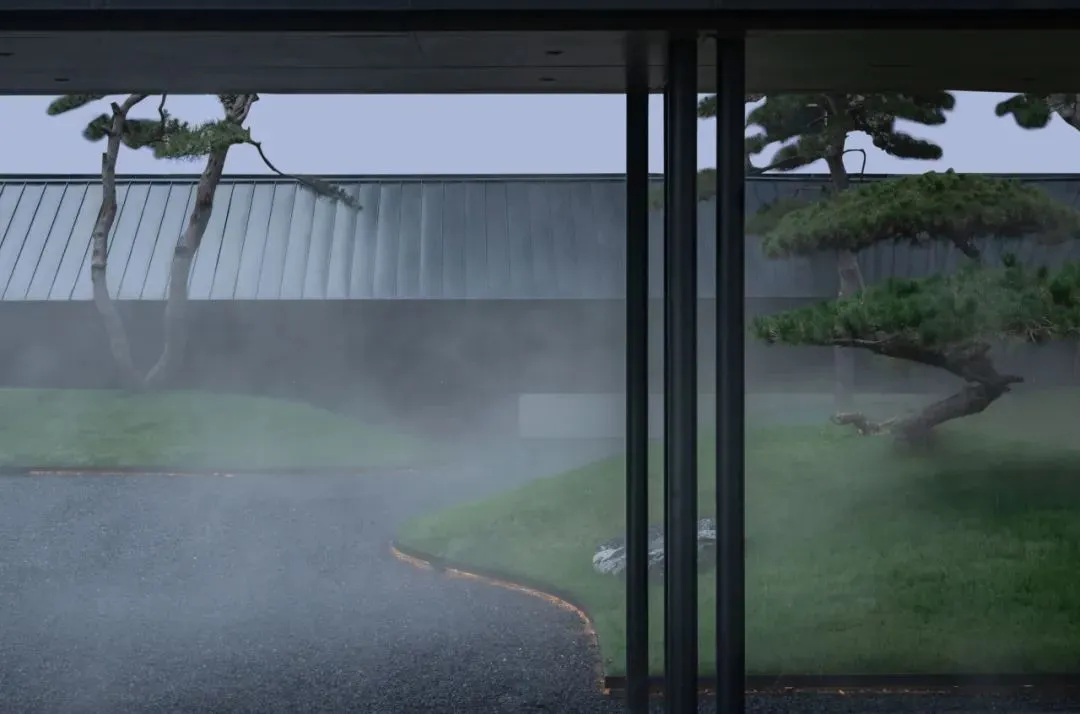 1735205001898620.jpg 1735204986616.jpg