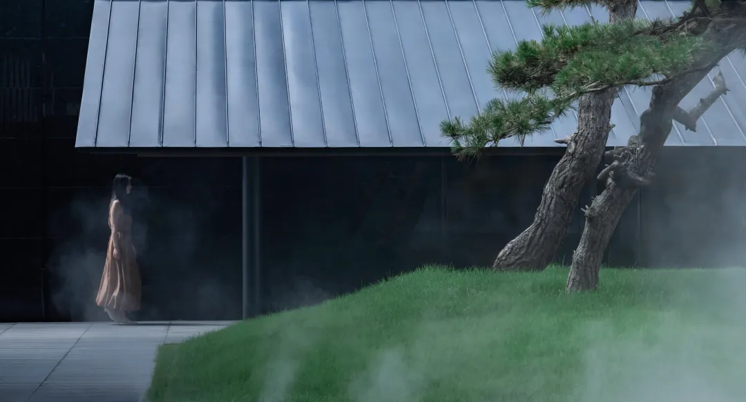 1735205022180841.jpg 1735205009727.jpg