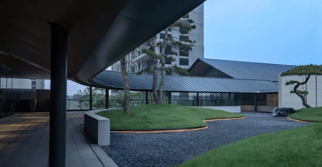 1735205026494918.jpg 1735205011799.jpg