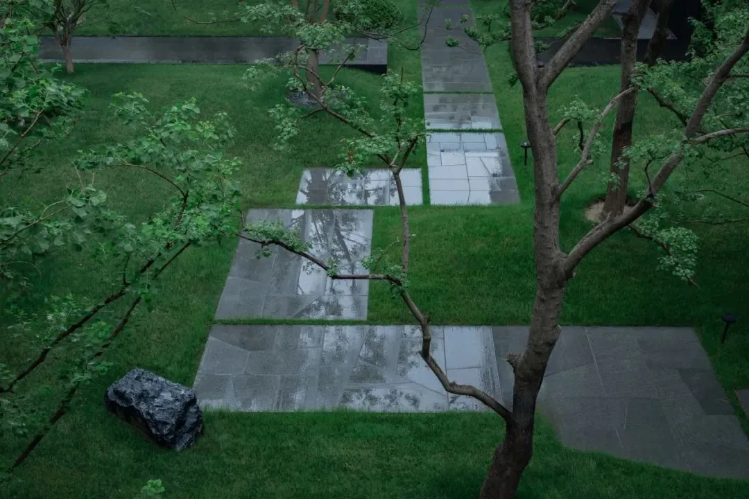 1735205255211942.jpg 1735205197462.jpg