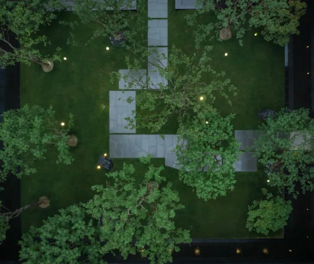 1735205259613889.jpg 1735205199426.jpg