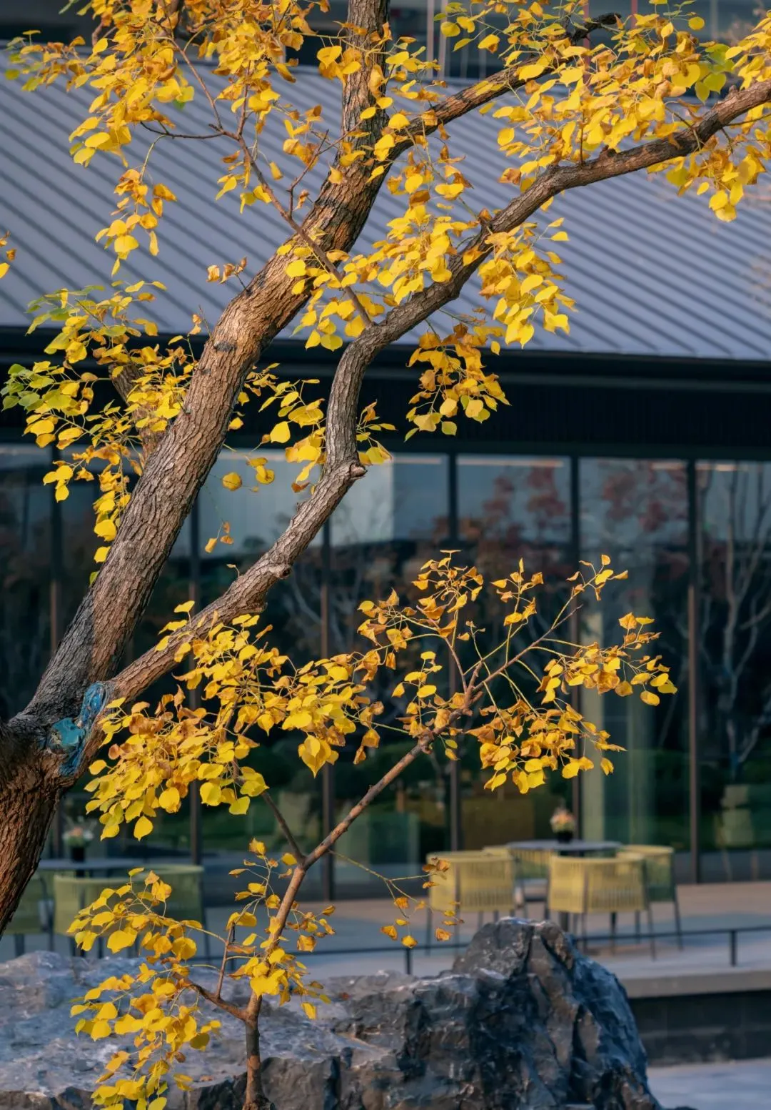 1735205279190444.jpg 1735205207336.jpg