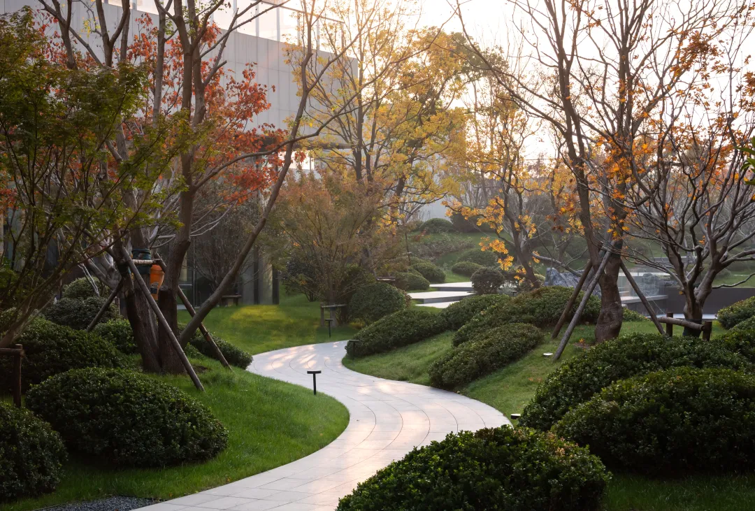 1735205319180077.jpg 1735205313160.jpg