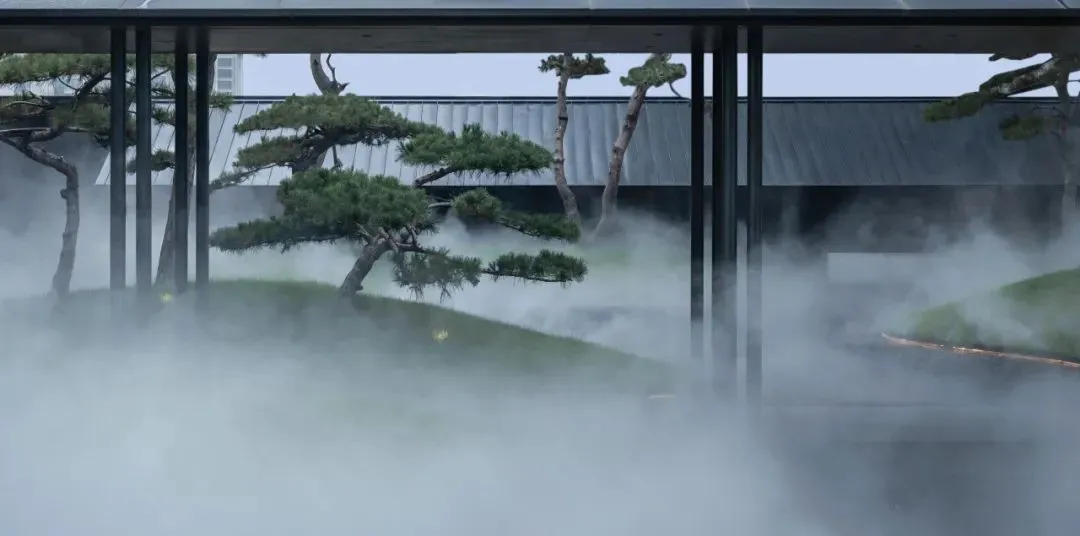 1735205447124170.jpg 1735205399271.jpg