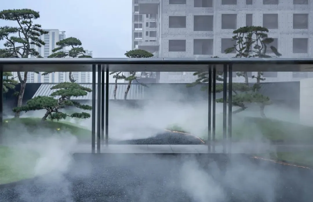 1735205451146861.jpg 1735205401724.jpg