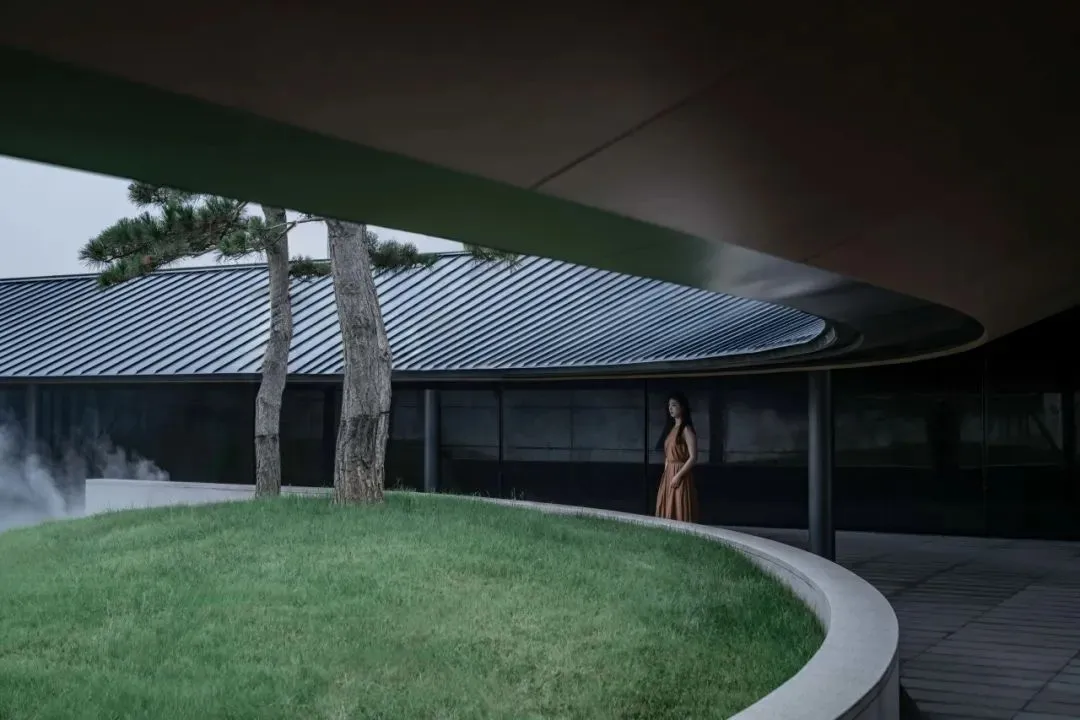 1735205463178078.jpg 1735205405577.jpg