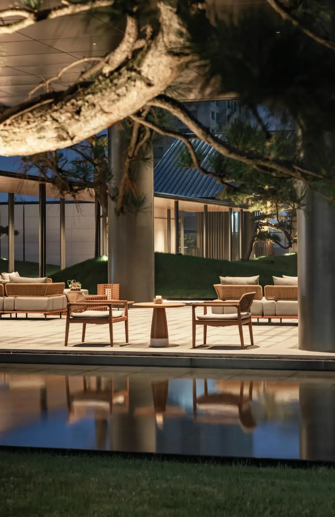 1735205475179390.jpg 1735205411779.jpg