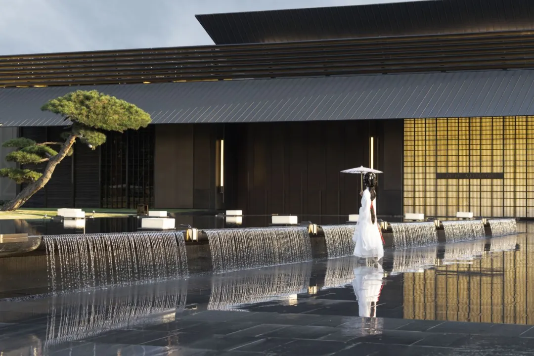 1735262945608829.jpg 1735262620024.jpg