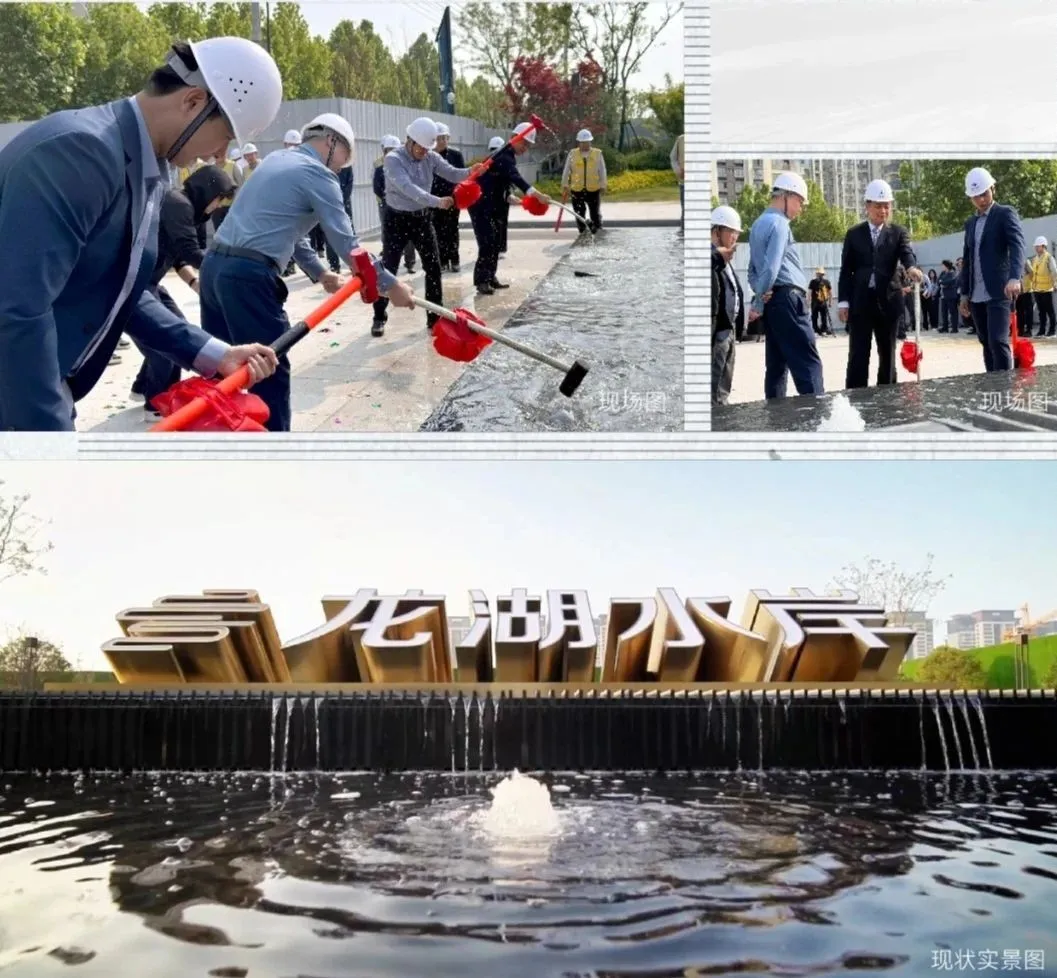 1735262975198194.jpg 1735262690470.jpg