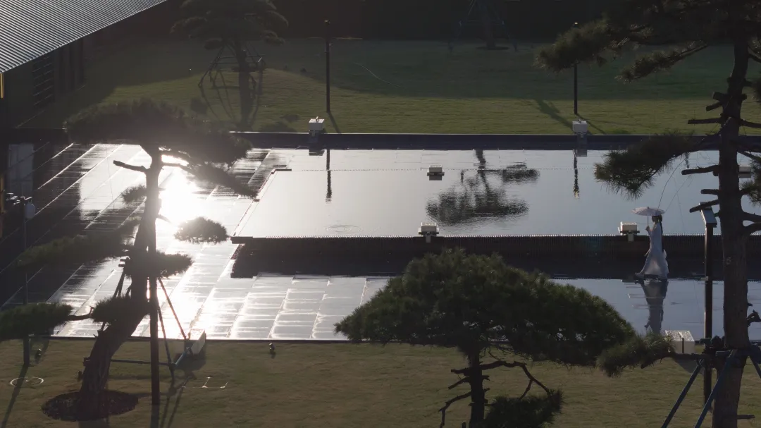 1735263021179926.jpg 1735262732843.jpg