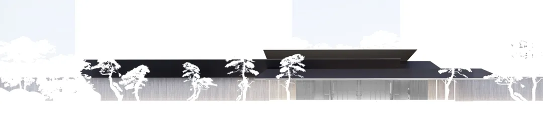 1735263039163806.jpg 1735263031045.jpg