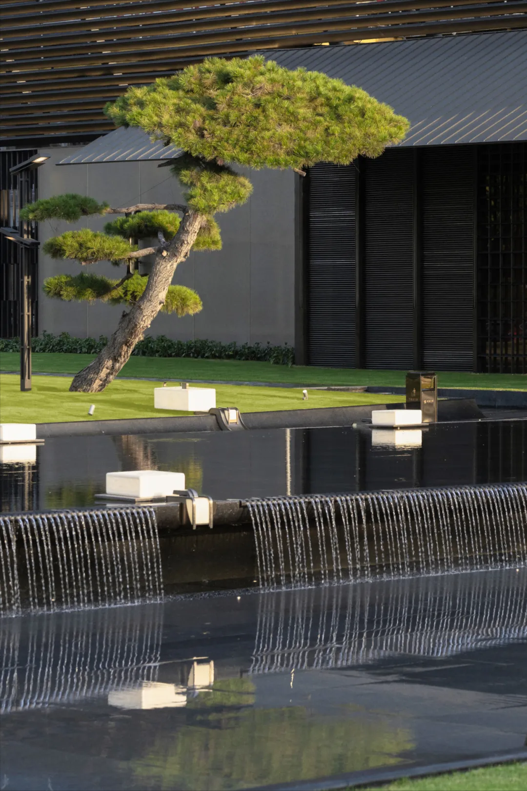 1735263145124019.jpg 1735263132184.jpg