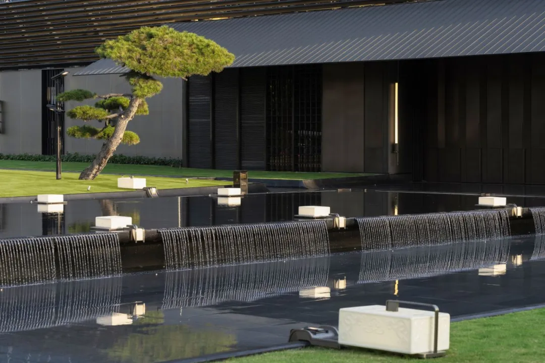 1735263217190798.jpg 1735263210142.jpg