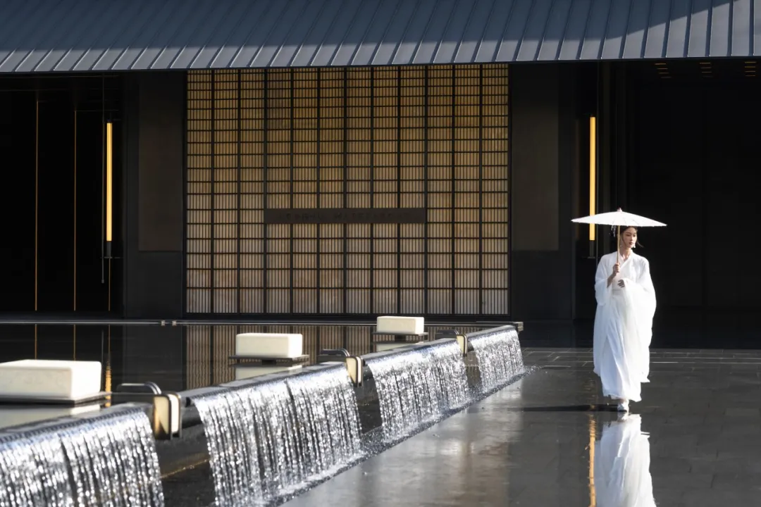 1735263221191464.jpg 1735263212629.jpg