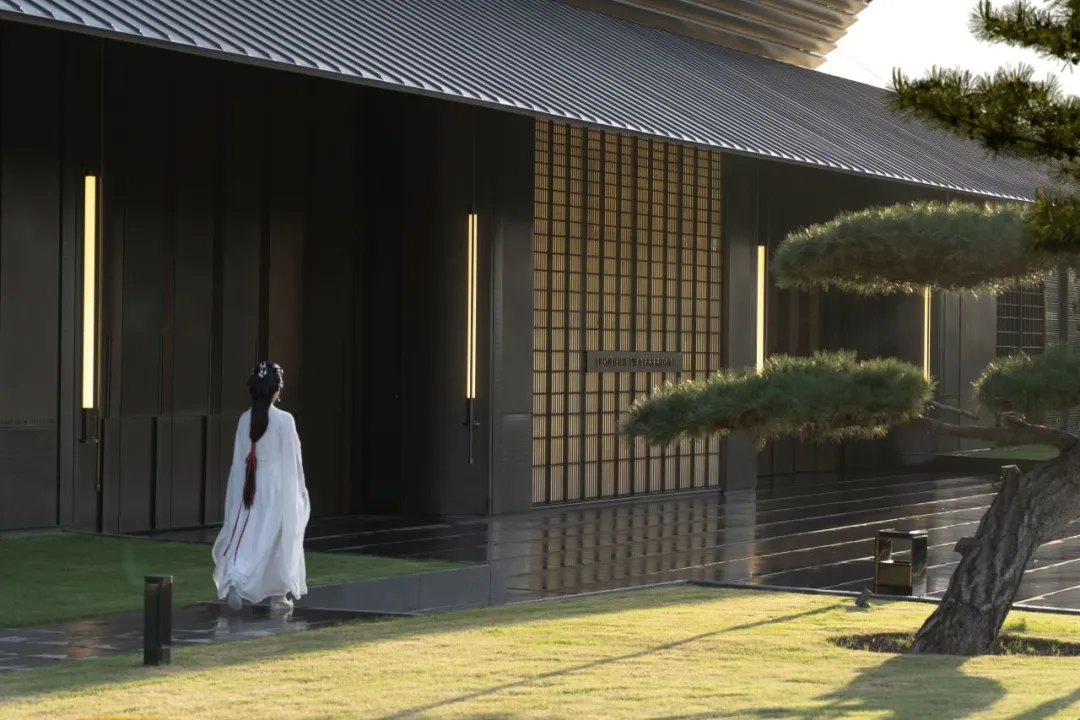 1735263508163898.jpg 1735263454496.jpg