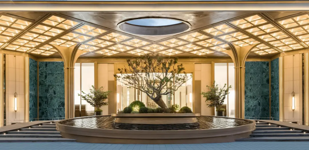 1735264844168297.jpg 1735264790309.jpg