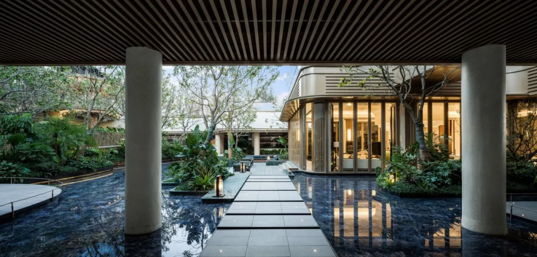 1735264998139309.jpg 1735264808235.jpg