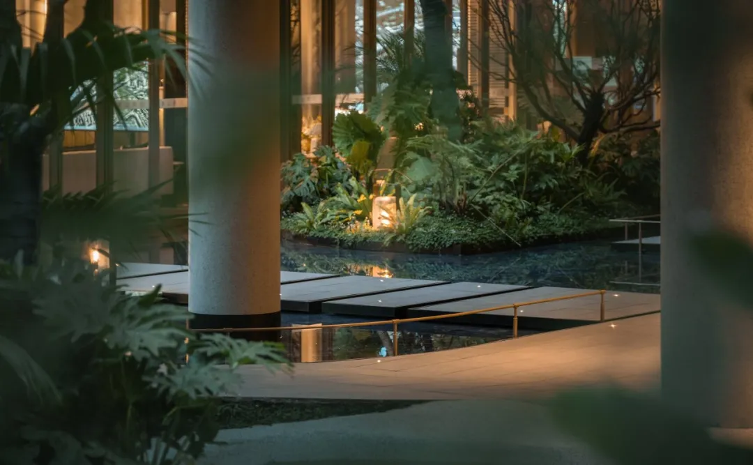 1735266912196681.jpg 1735266903409.jpg