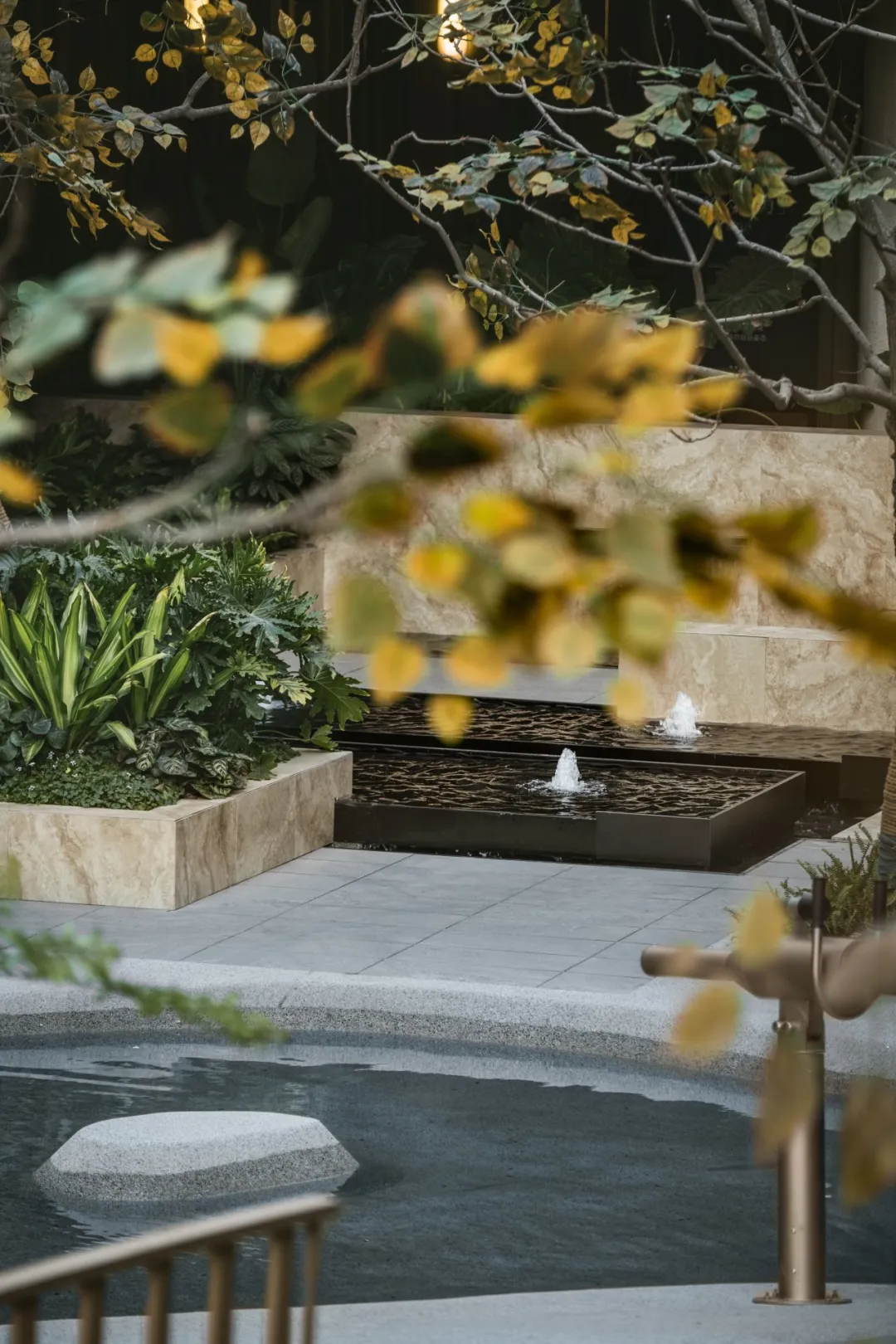 1735267009519797.jpg 1735266966680.jpg