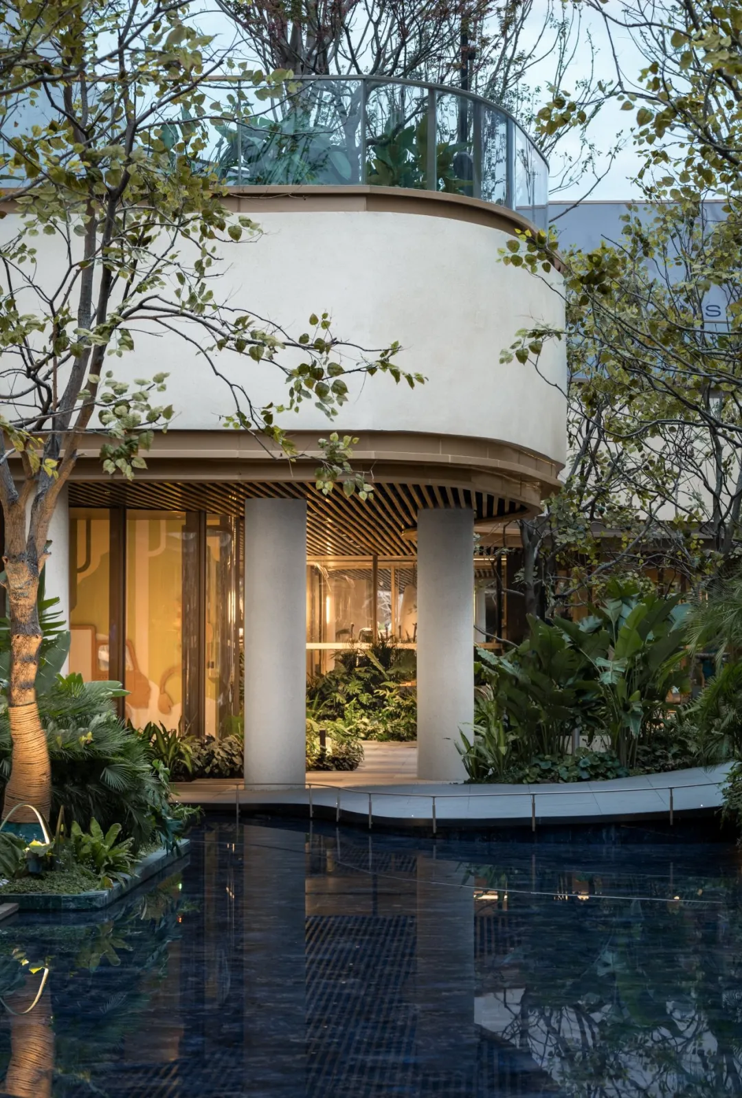 1735267030593477.jpg 1735266971471.jpg