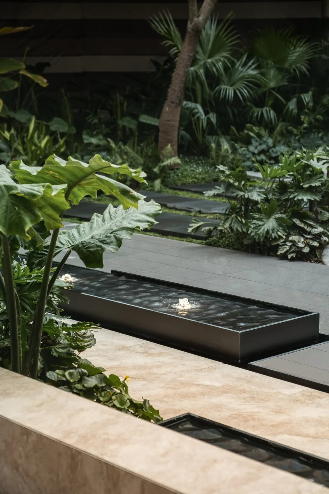 1735267036987297.jpg 1735266973507.jpg