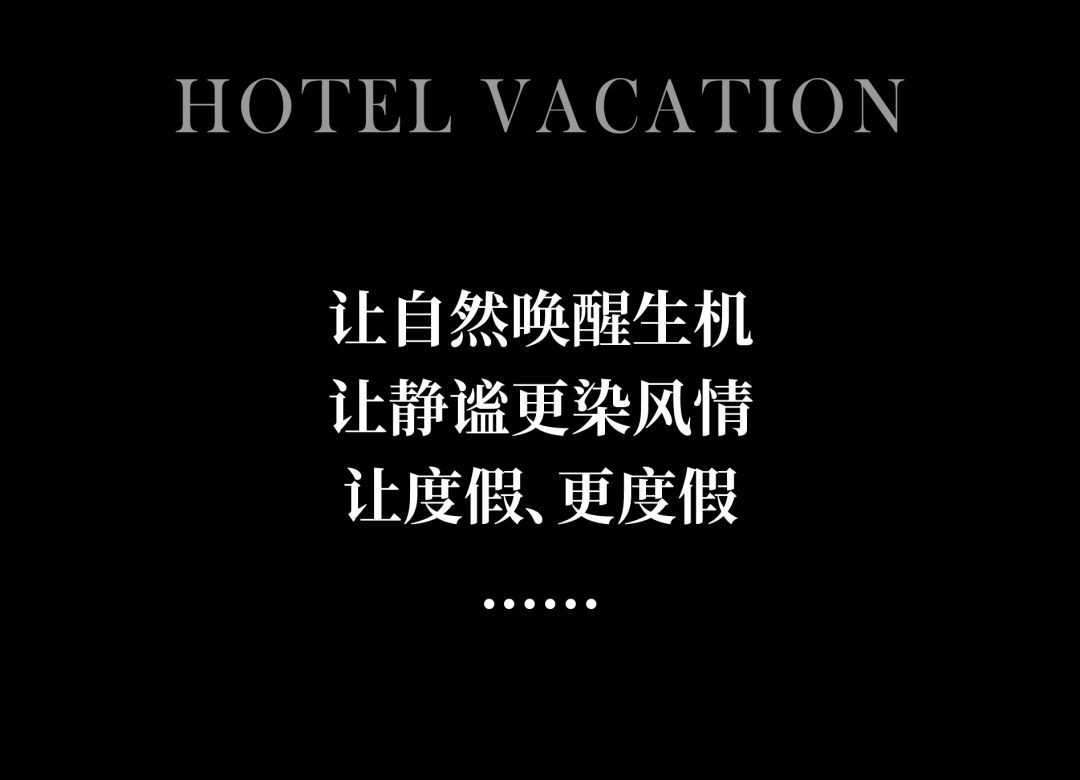 1735267131799565.jpg 1735267100514.jpg