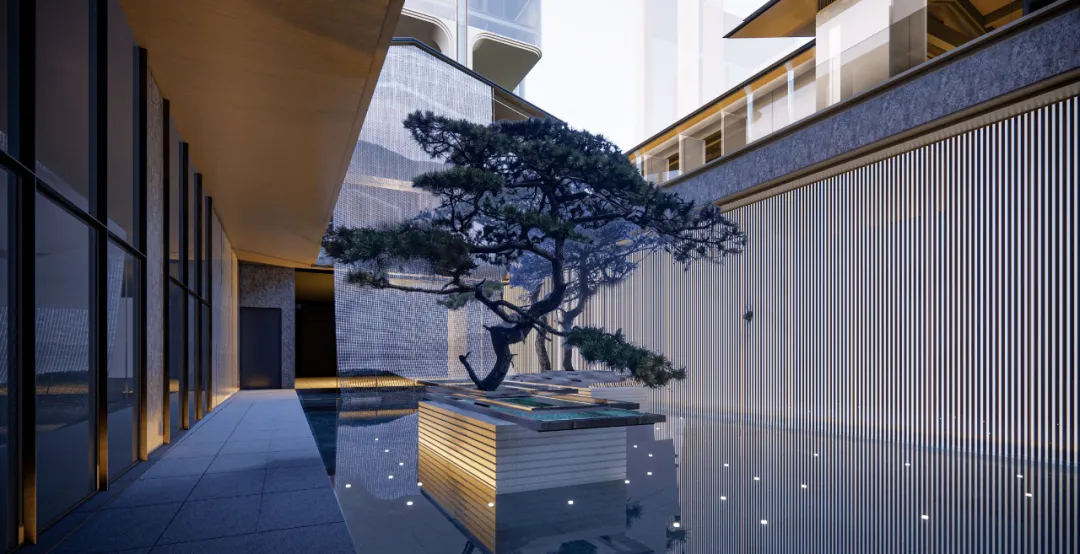 1735270629407719.jpg 1735270622878.jpg