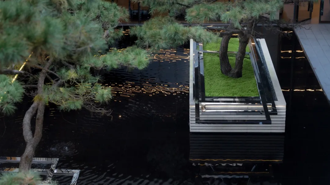 1735270684163150.jpg 1735270677617.jpg