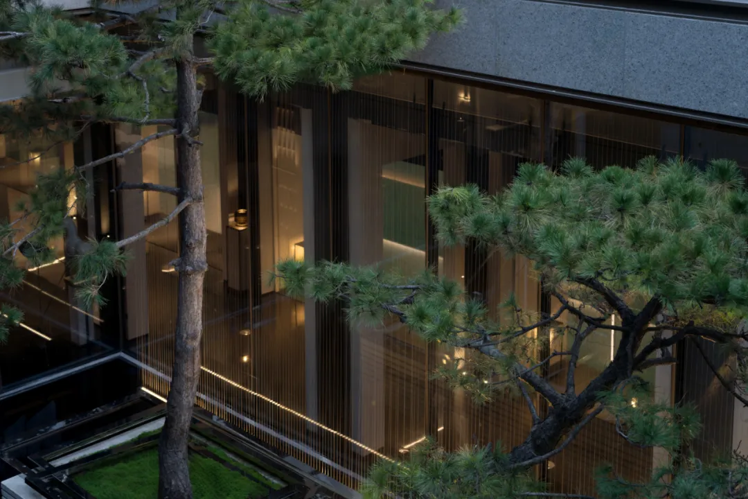 1735270689150059.jpg 1735270679569.jpg