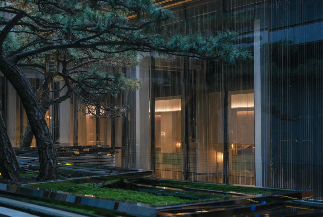 1735270701126947.jpg 1735270696059.jpg