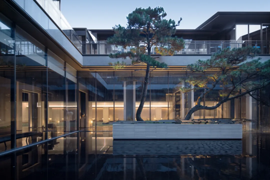 1735270755205049.jpg 1735270739113.jpg