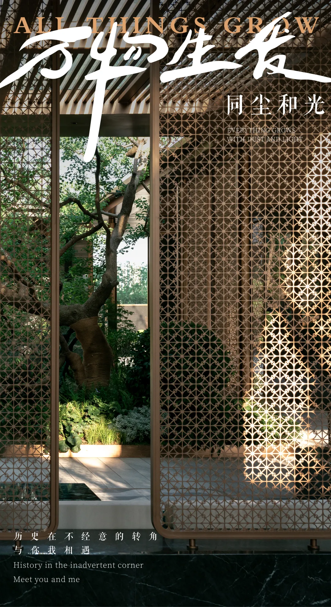 1735292107879499.jpg 1735291885757.jpg