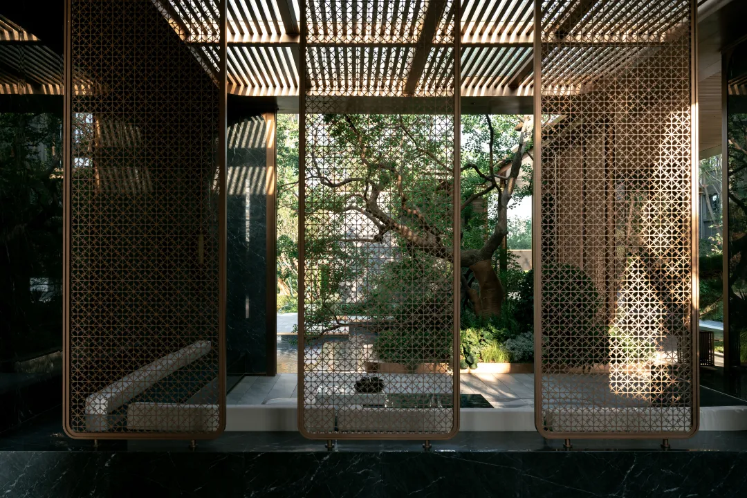 1735292262553448.jpg 1735292236691.jpg