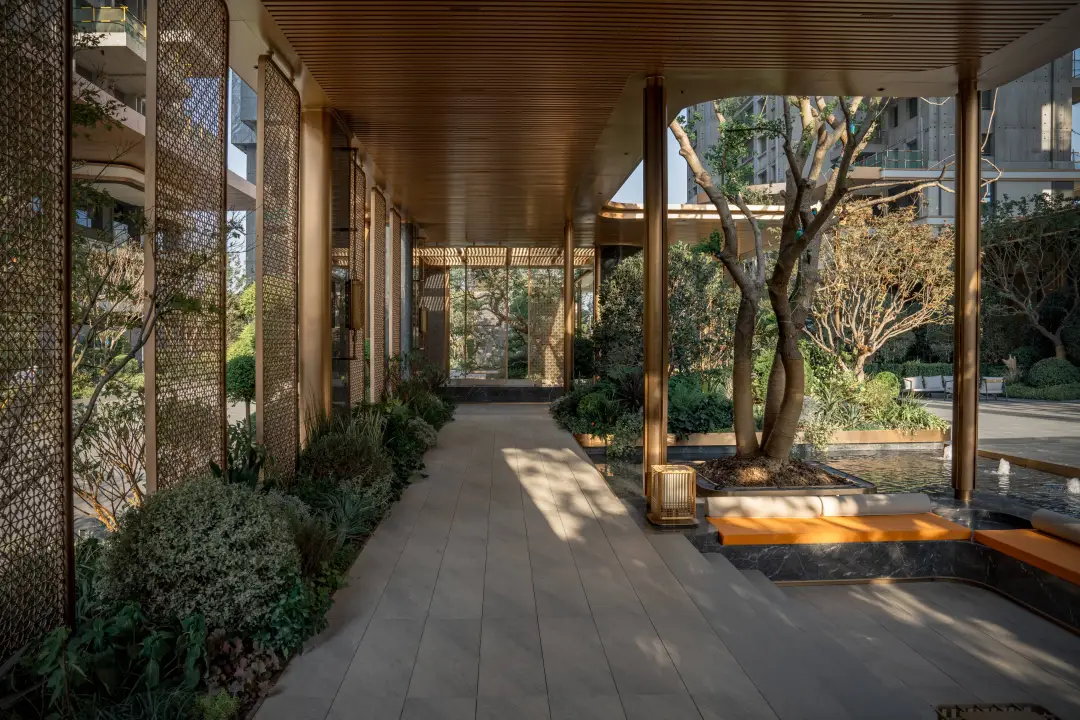 1735292268121770.jpg 1735292240188.jpg