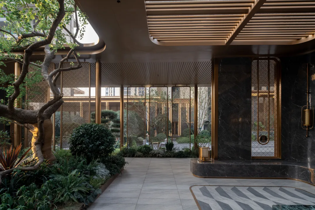 1735292273483853.jpg 1735292244431.jpg