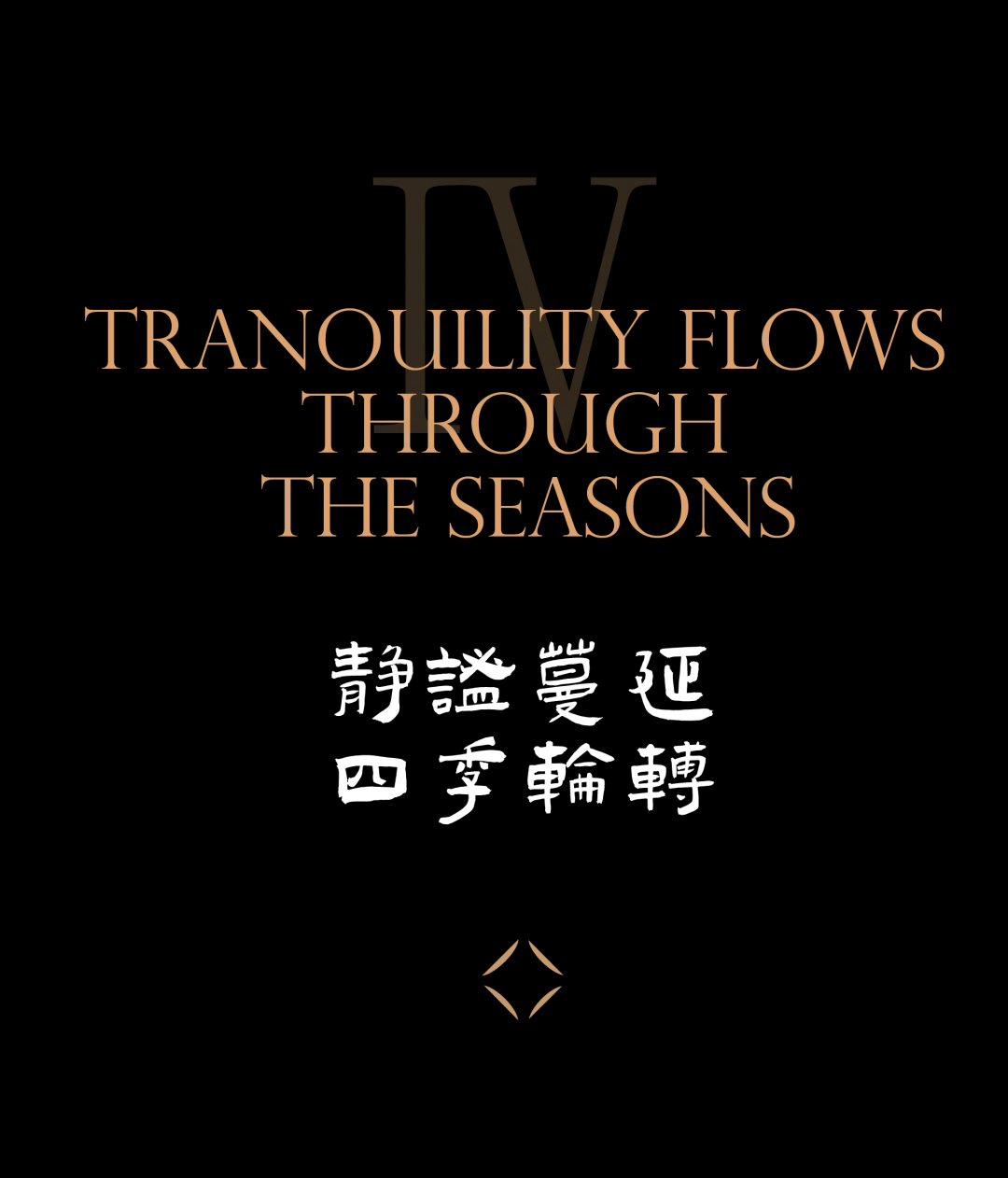 1735292329145576.jpg 1735292294293.jpg