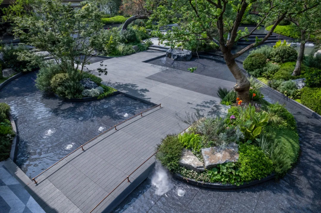 1735292349184889.jpg 1735292339112.jpg