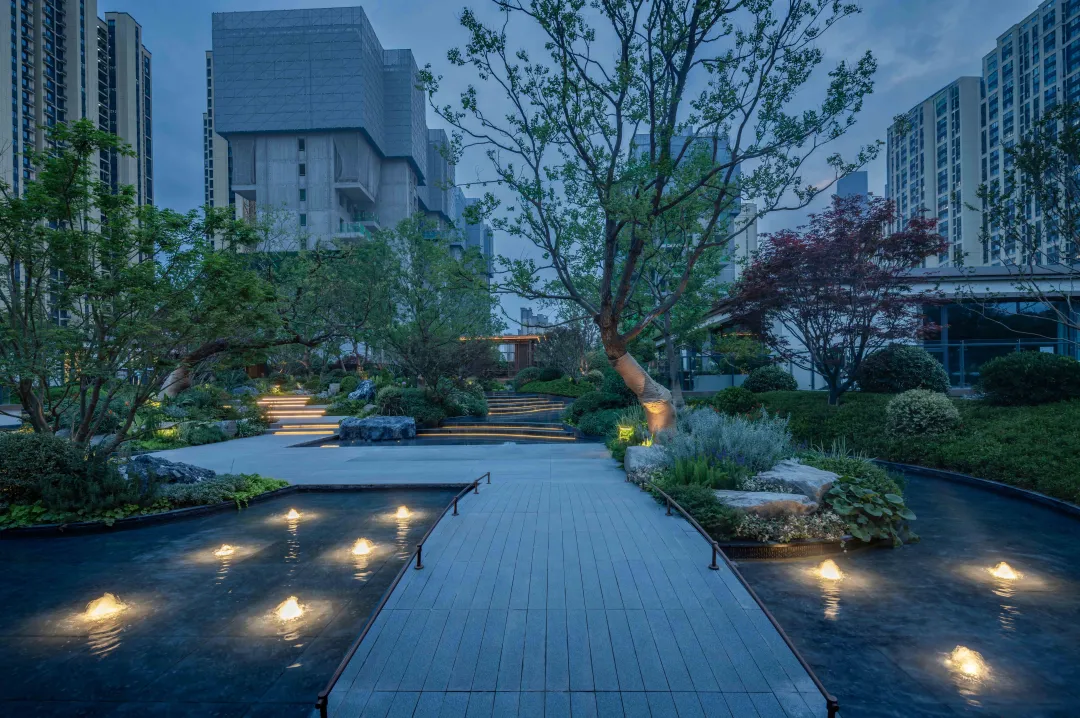 1735292387163015.jpg 1735292369754.jpg