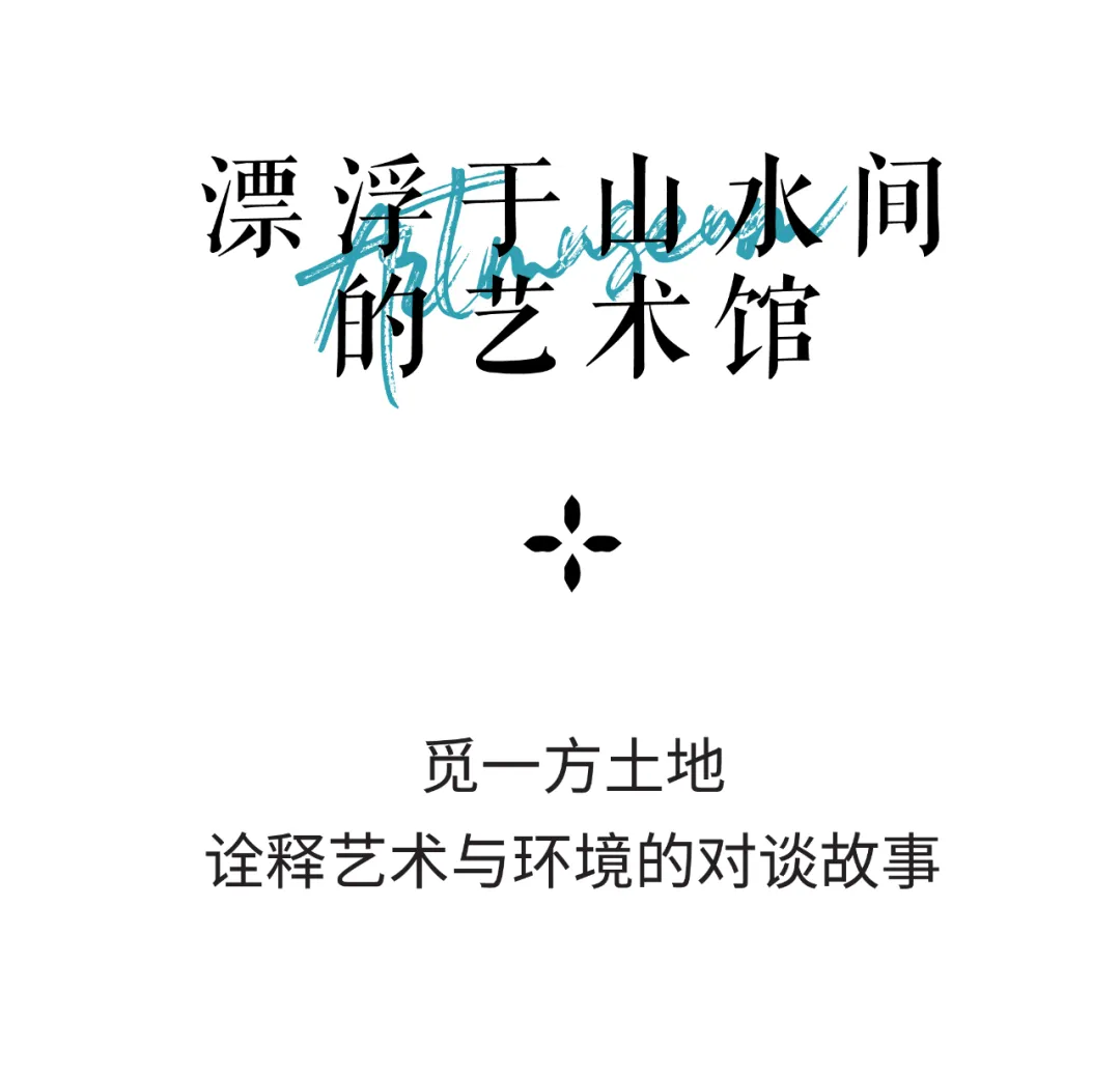 1735527850728660.jpg 1735527776275.jpg