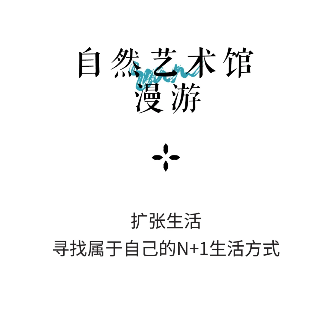 1735527865267269.jpg 1735527782897.jpg