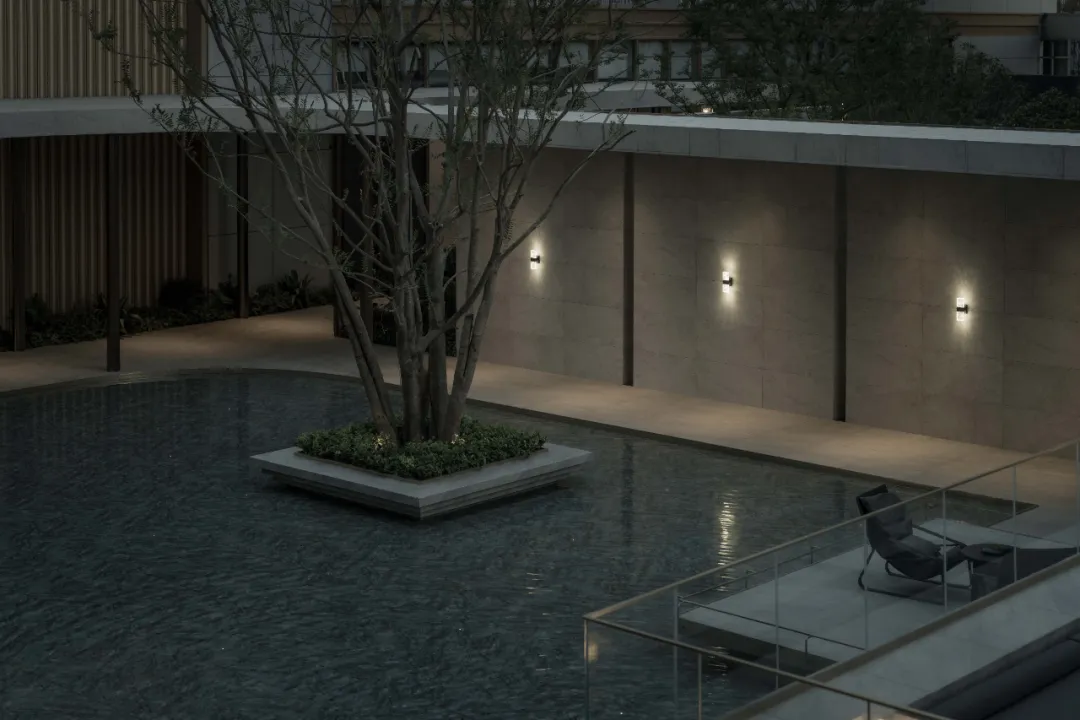 1735528048166511.jpg 1735528007868.jpg