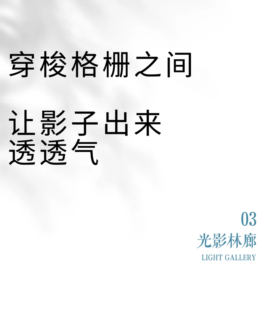 1735528058145885.jpg 1735528014007.jpg