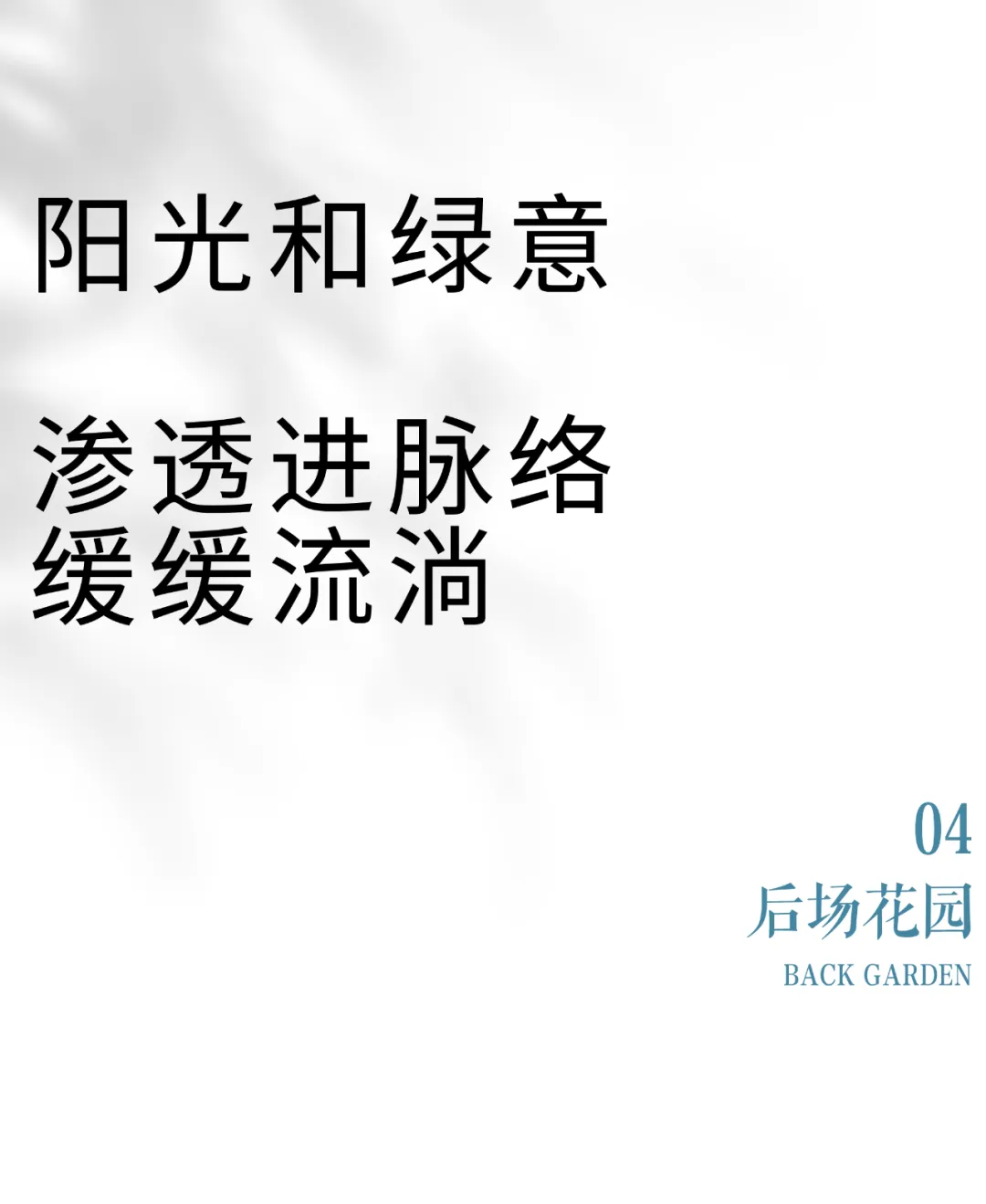 1735528135189172.jpg 1735528117331.jpg