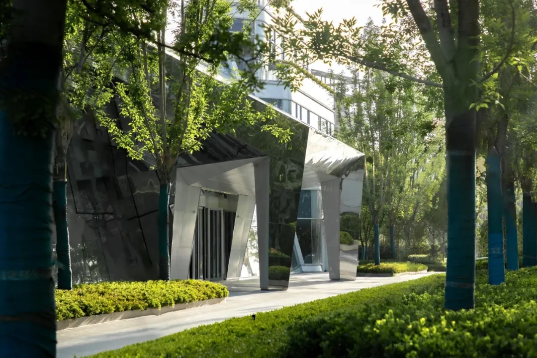 1735530989838106.jpg 1735530955962.jpg