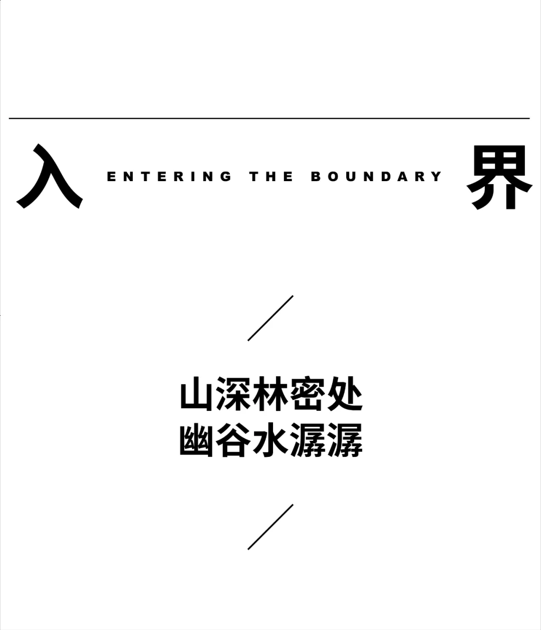 1735531033147040.jpg 1735531031091.jpg