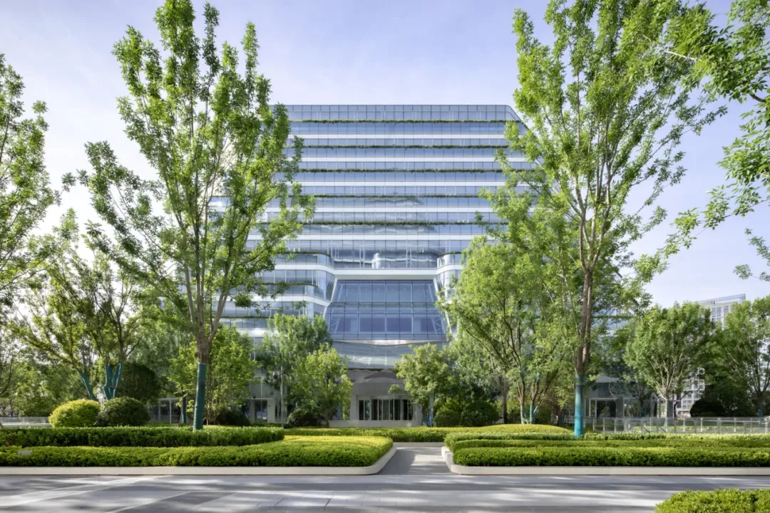 1735531106180276.jpg 1735531091323.jpg