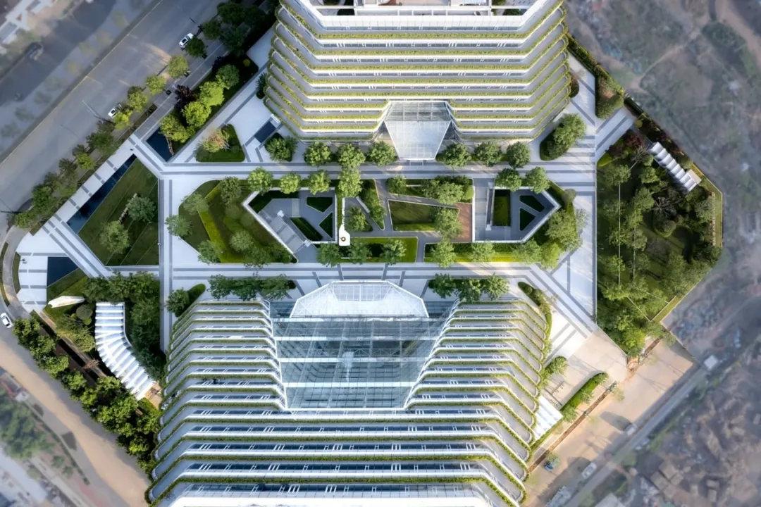 1735531110478314.jpg 1735531093282.jpg