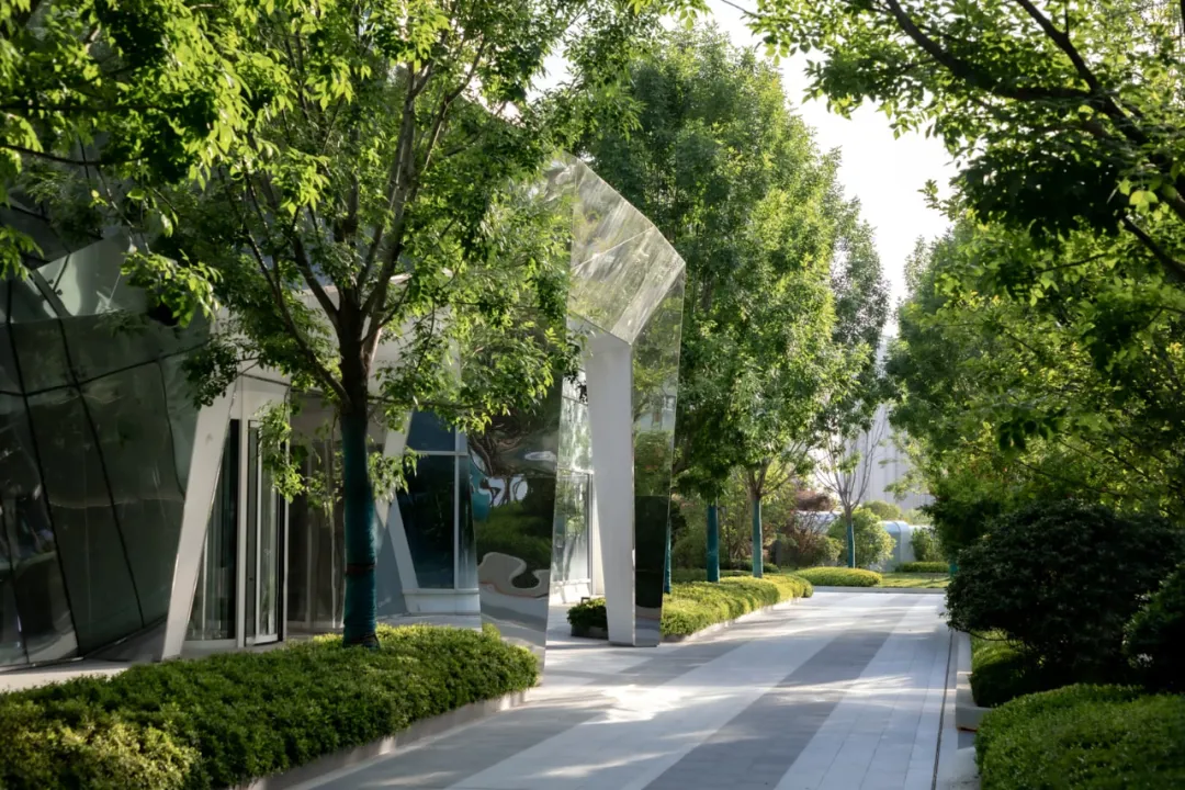 1735531148737127.jpg 1735531129540.jpg